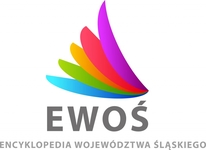 EWoS w kolorze